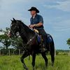 llanero.si.soy.llanero