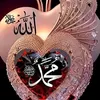 lmes_ahmeed