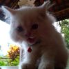vennyy11