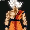 kakarotgoku1232
