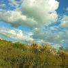 mauroibarra18
