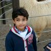 patchi_yayrz