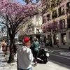 sotorius_29