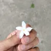 haysssssssssssssssss_