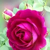 aguerrero022