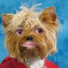 oscarpot0