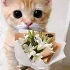 malungcatt