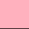 salsacomel49