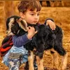shairnawab1243