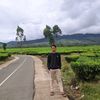 ari.panca