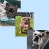 hugo.bruno.franco