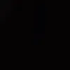 aarsse_