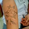 dandifjo
