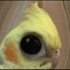 jossuemp77