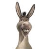 slopbogbinky