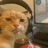flixmind0x