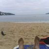 raulflores435