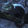 sebascat852