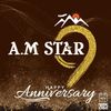 AM STAR TRAVEL