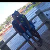 wesleysantosmj