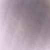 am_r2