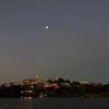 _19lunares