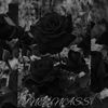 _fisrt_boudchou_