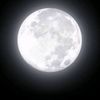 moon🌹