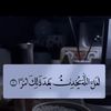 mirnamb7