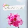 .hudaalhayat6l