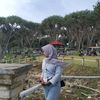 123wlst