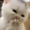 jmnborahae