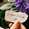 saharmohamadmohamad