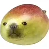 mongcai2020