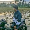 marfelpratama08