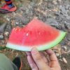 bentaladisana