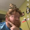 GINGER JACK