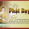 phuongbong031199