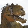 2d_raptor