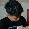 dartoputra