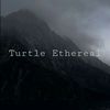 turtleethereal