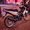 vinhtran234