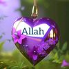 mehmet.nicat