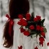 nora_1441s
