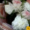 tkienb_sz
