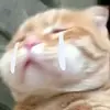 ihsubjggi