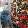 nazwa ^ ‿ ^
