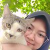xvlywy_