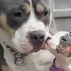 mamajjjjjj