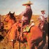 rgcattlehorses77